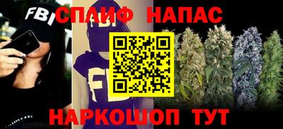 мдма Камышлов